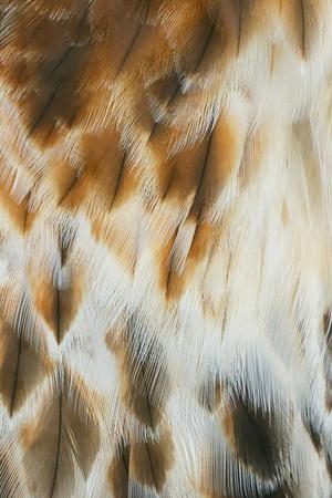 Photographic Print, , small