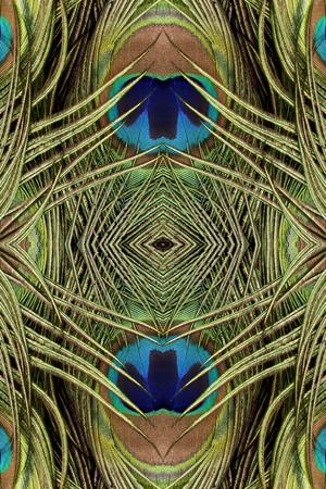 Photographic Print, , small