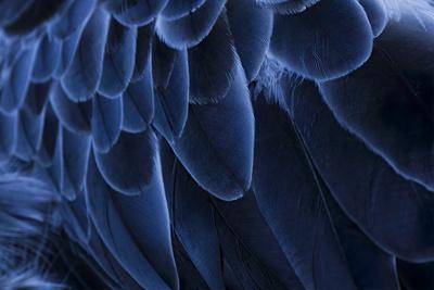 Photographic Print, , small