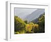 USA, Utah. Trail bridge across the Logan River along Logan Canyon in autumn.-Julie Eggers-Framed Photographic Print