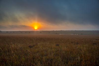 Photographic Print, , small