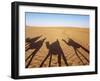 Shadows of people riding camels in a caravan in Zagora Desert, Draa-Tafilalet Region, Morocco-Karol Kozlowski-Framed Photographic Print