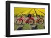 Traditional bicycles, field of tulips, South Holland, Netherlands, Europe-Markus Lange-Framed Photographic Print