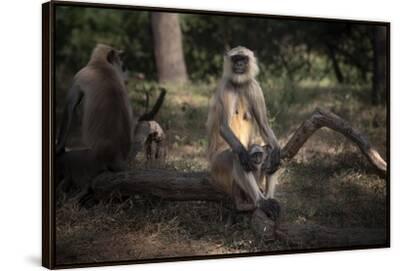 Stretched Canvas Print, , small