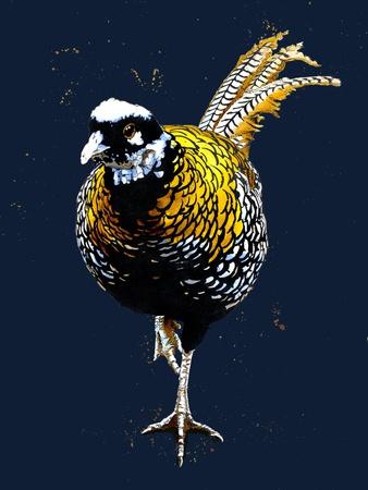 Giclee Print, , small