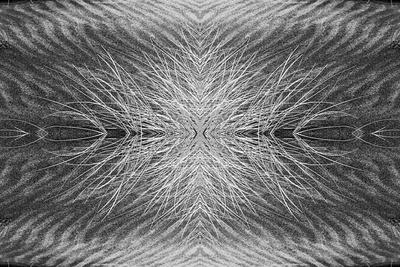 Photographic Print, , small