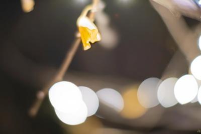 Photographic Print, , small