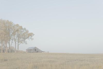 Photographic Print, , small