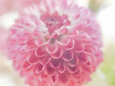 Photographic Print, , small