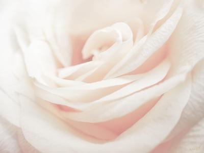 Photographic Print, , small