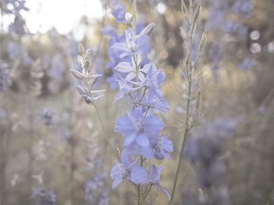 Photographic Print, , small