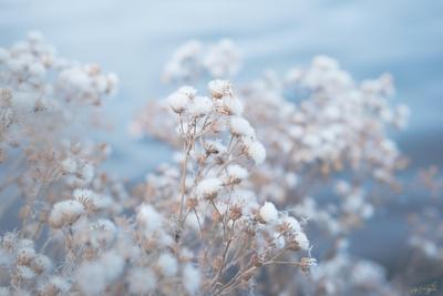 Photographic Print, , small