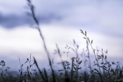 Photographic Print, , small