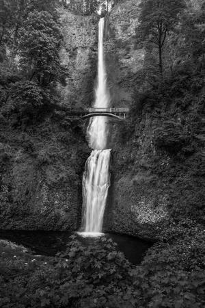 Photographic Print, , small