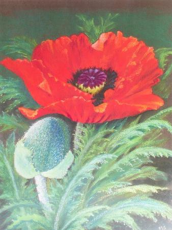 Giclee Print, , small