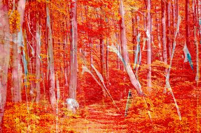 Giclee Print, , small