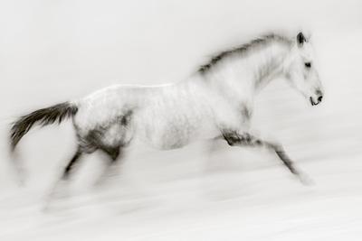 Photographic Print, , small