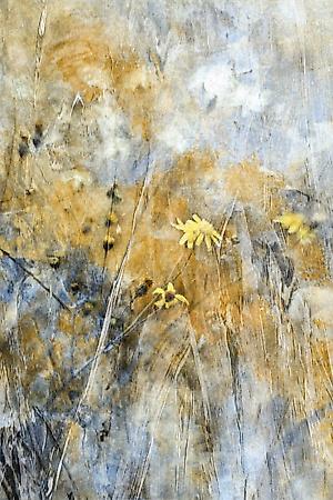 Photographic Print, , small