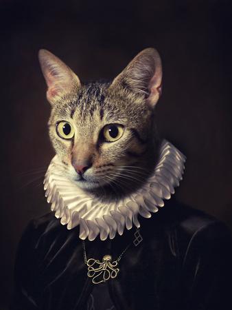 Photographic Print, , small