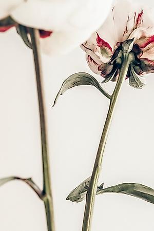 Photographic Print, , small