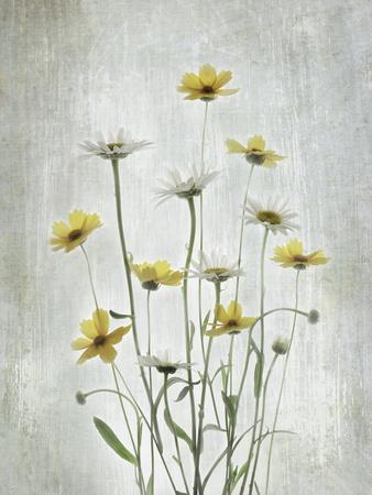 Photographic Print, , small