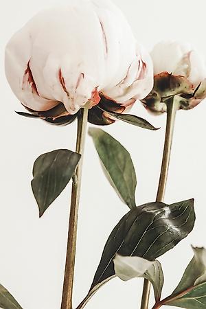 Photographic Print, , small