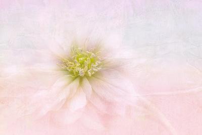 Photographic Print, , small