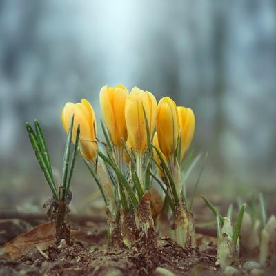 Photographic Print, , small