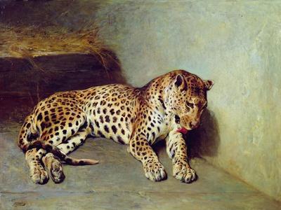 Giclee Print, , small