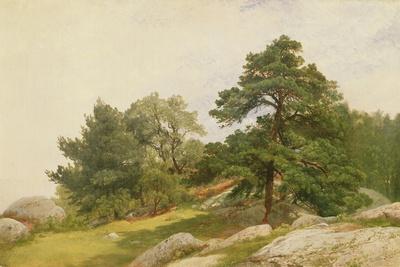 Giclee Print, , small