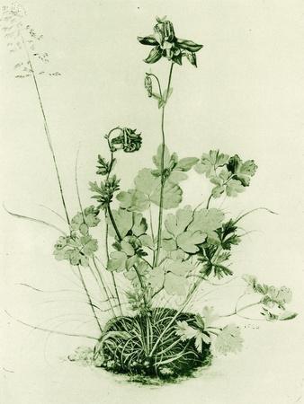 Giclee Print, , small