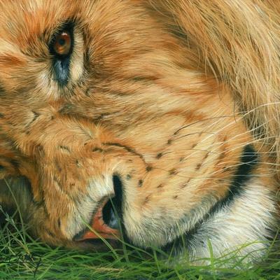 Art Print, , small