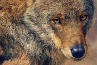 Art Print, , small