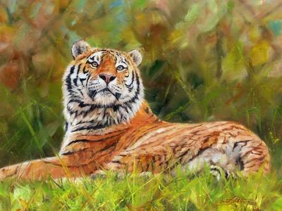 Art Print, , small