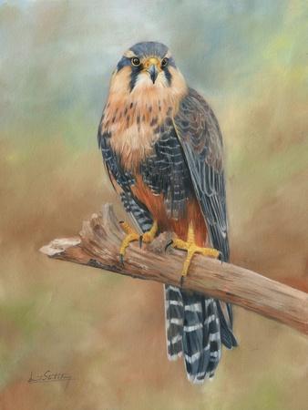 Art Print, , small