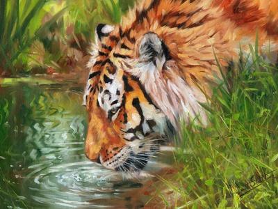 Art Print, , small