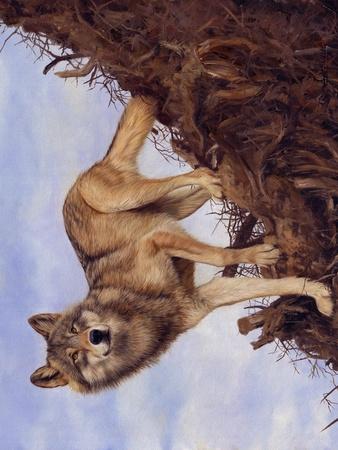 Art Print, , small