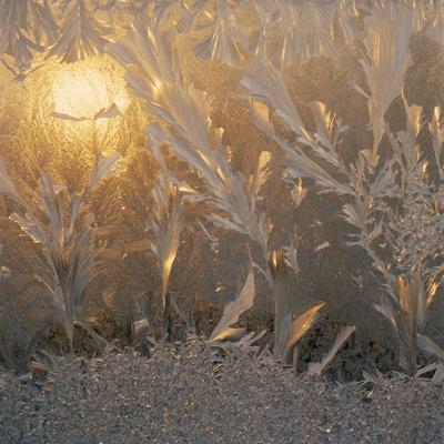 Photographic Print, , small
