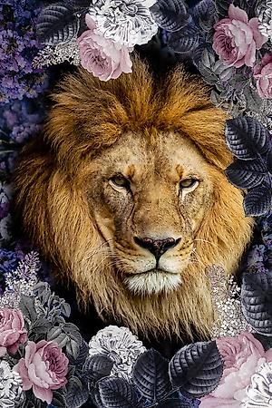 Art Print, , small