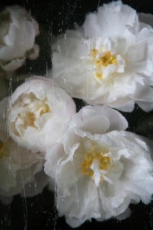 Photographic Print, , small