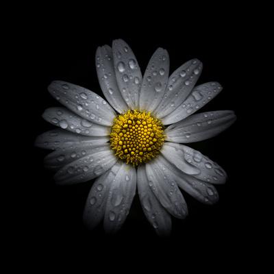 Photo, , small