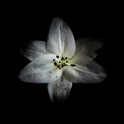 Photo, , small