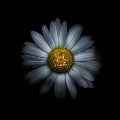 Photo, , small