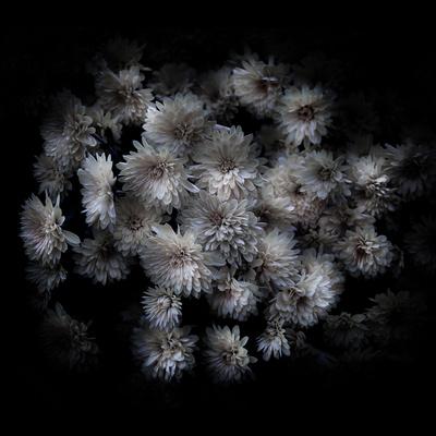 Photo, , small