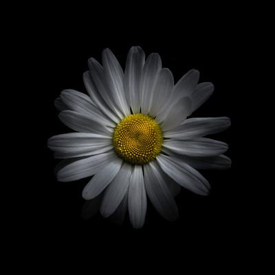 Photo, , small