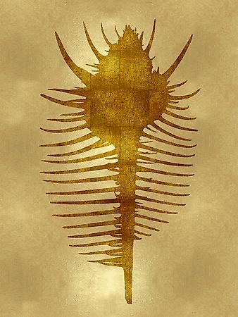 Art Print, , small