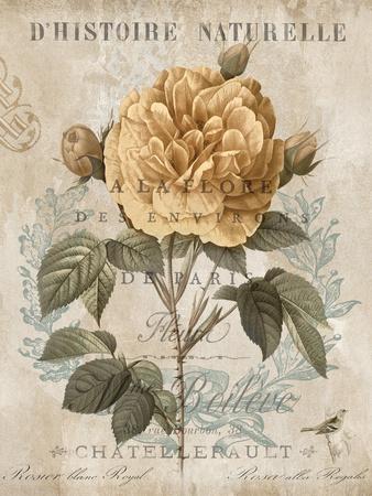 Art Print, , small