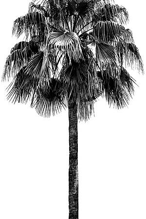 Art Print, , small