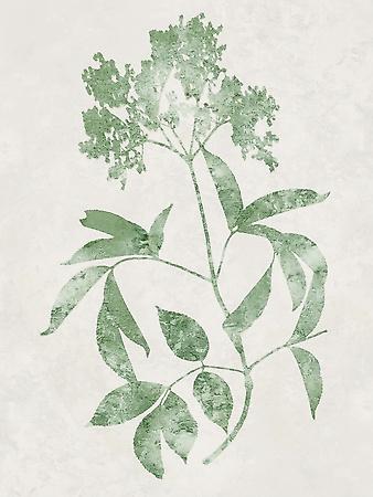 Art Print, , small