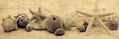 Photo, , small